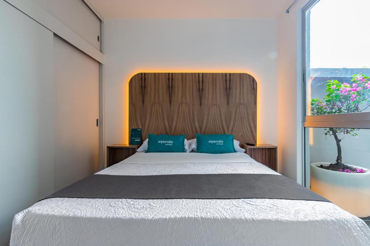 Ayenda La Joya Otel Meksika Dış mekan fotoğraf